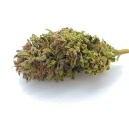 Fleur de CBD Lemon Haze