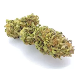 Fleur de CBD Strawberry