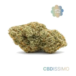 Orange-bud-CBD20-0-thc-cbdissimo