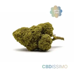 white-widow-cbd15-0-thc-cbdissimo